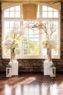 White Birch Branched Wedding Arch – shared in a roundup post on Flirty Fleurs