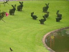 Topiary Bunny Yard – shared on POPSUGAR