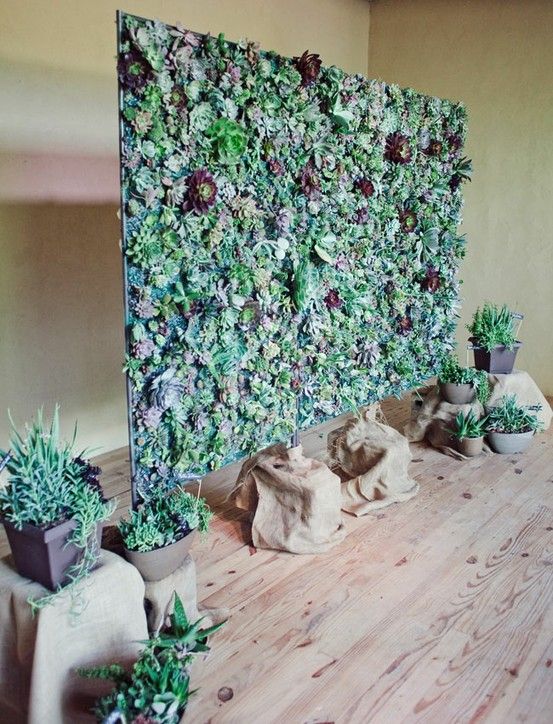 Succulent Photo Backdrop – shared in a roundup post by BuzzFeed