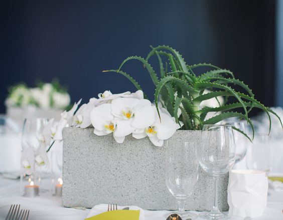 White Orchids and Succulents Cement Block Centerpiece – shared on No Boring Parties